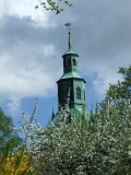 54.jpg