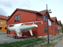 91.jpg