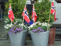 28.jpg