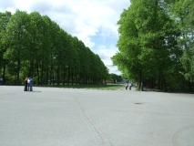 92.jpg