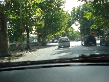 01.jpg
